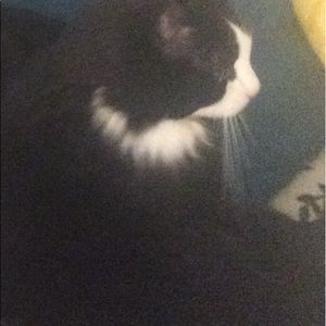 Meet your Posher, Alison